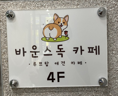 바운스독카페 이미지