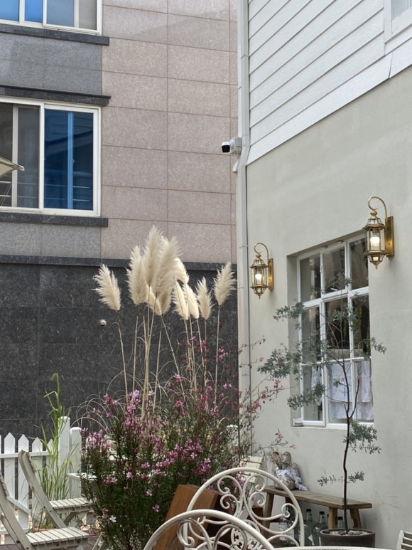 카페메종 이미지