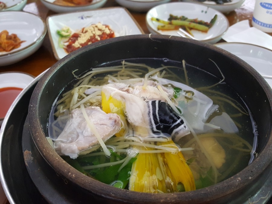 자갈복어 이미지