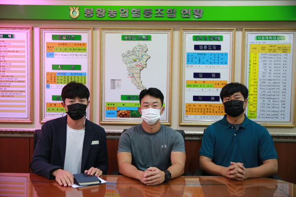봉황농협 이미지