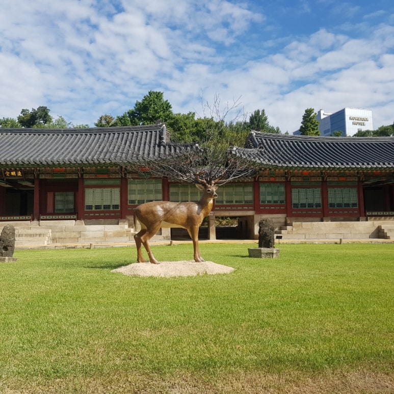수궁관 이미지