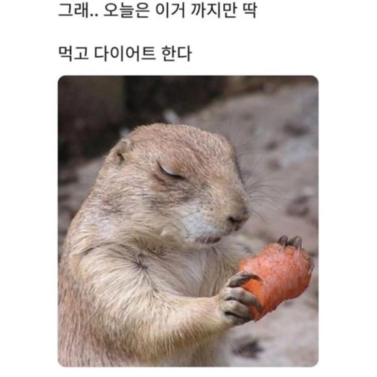 남양조개구이무한리필클램씨 이미지