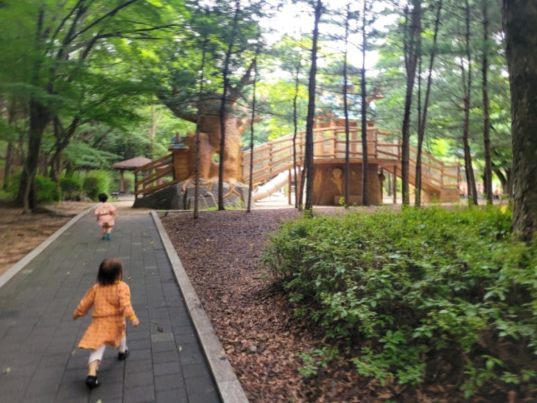 오패산 유아숲체험원 이미지