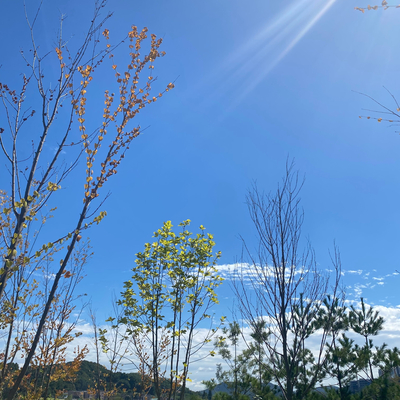맘스터치구로항동점 이미지