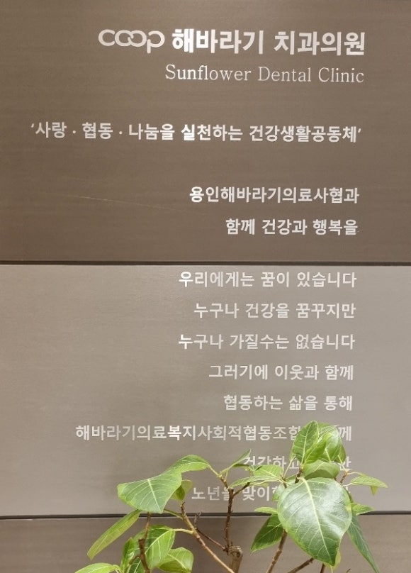 해바라기치과의원 이미지