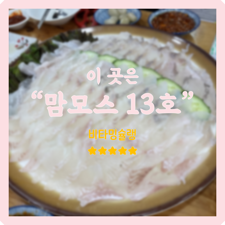 맘모스13호 이미지
