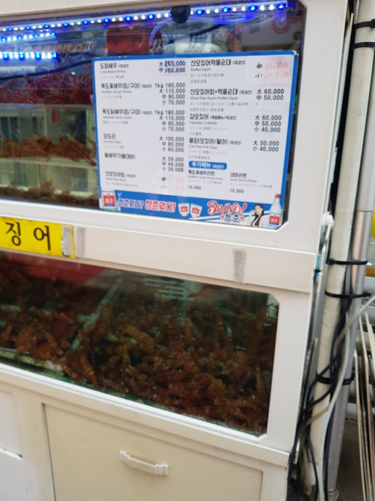 독도꽃새우 이미지