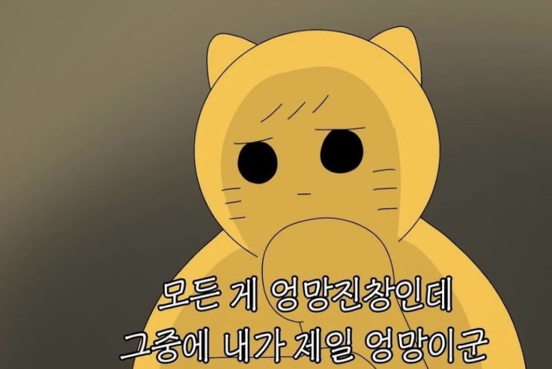 바이레도현대 이미지