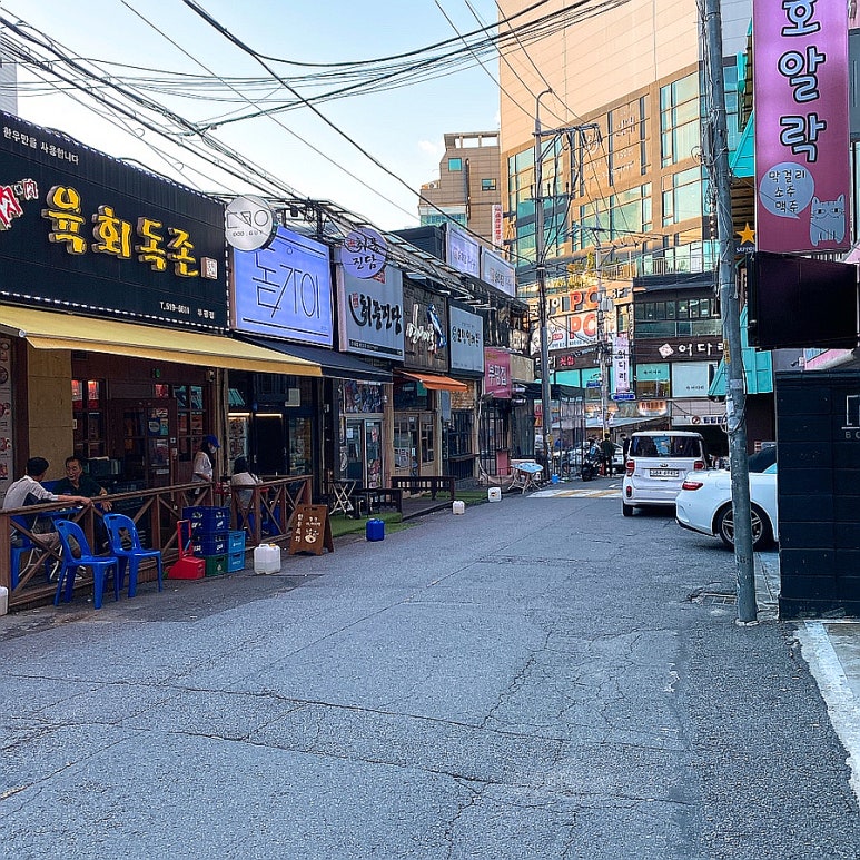 돋가이 사진 3