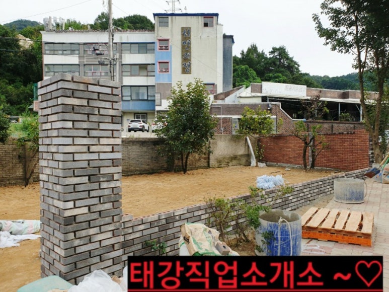 칼라직업소개소 이미지