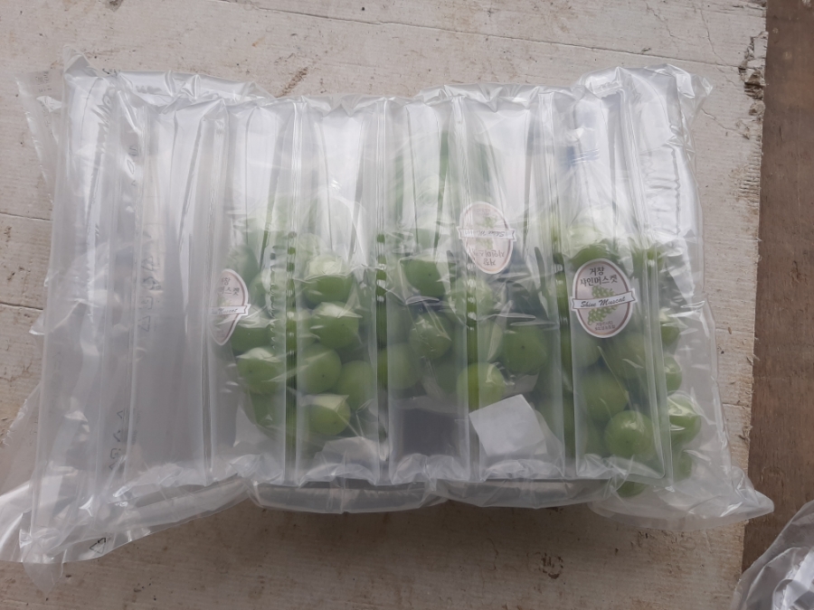 지구촌농원 이미지