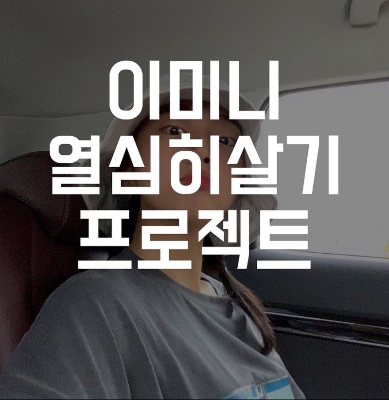 이*열 이미지
