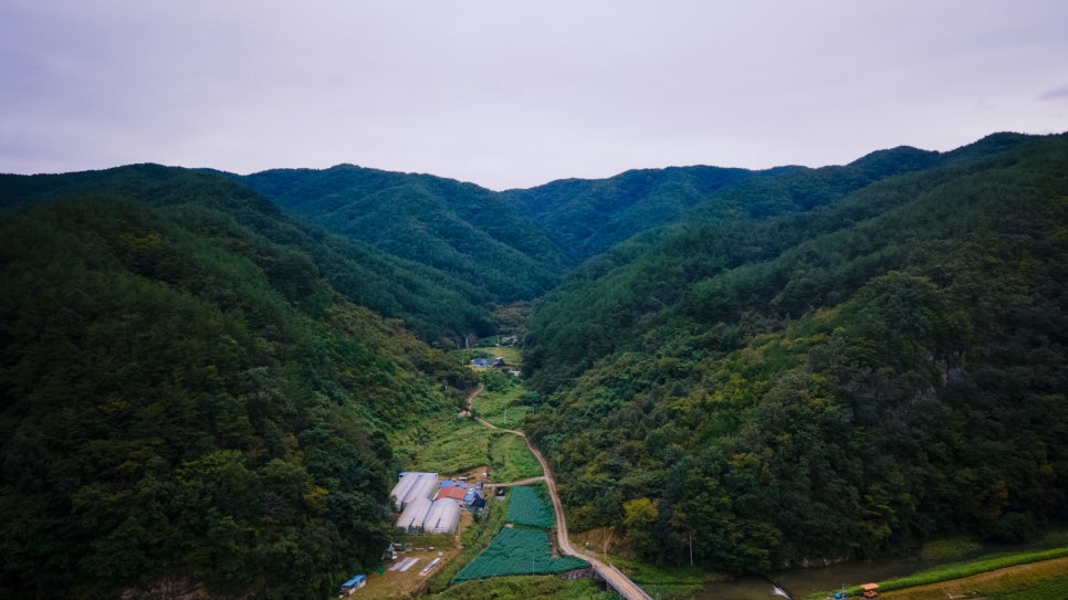 용주농원 이미지