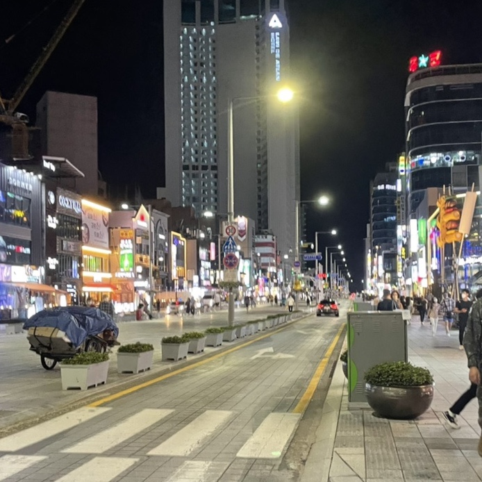 태리교대 이미지