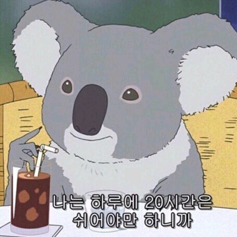 카페아리 이미지