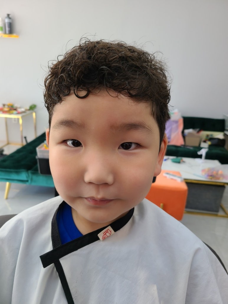 돌콩헤어 이미지