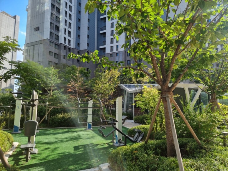 그랑올라 이미지