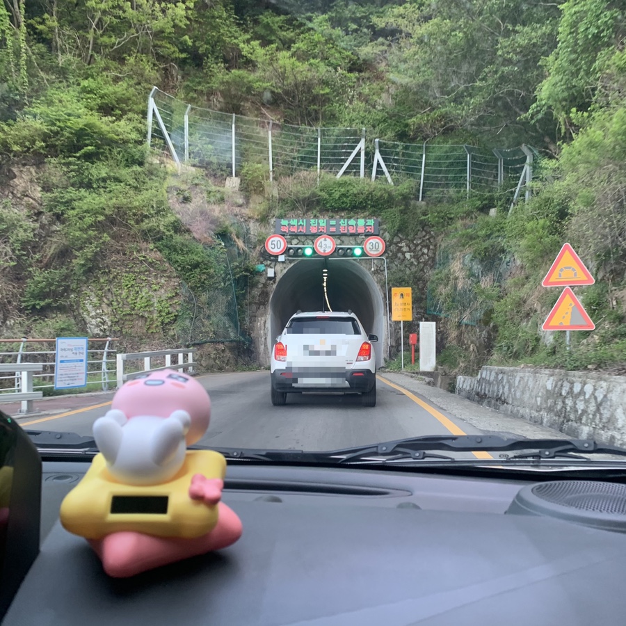 터널분식 이미지