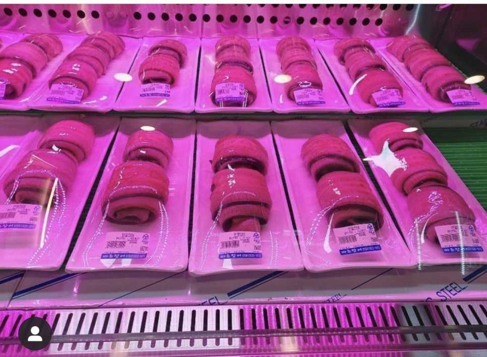 마초장어 이미지