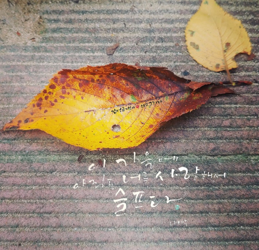 사랑을찍다 이미지