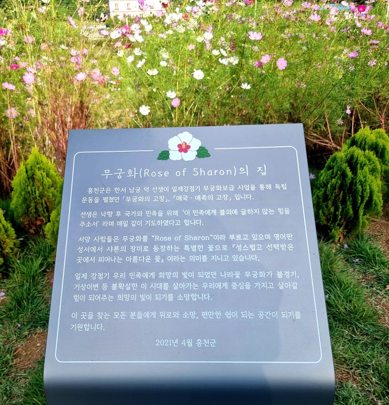 무궁화집 이미지