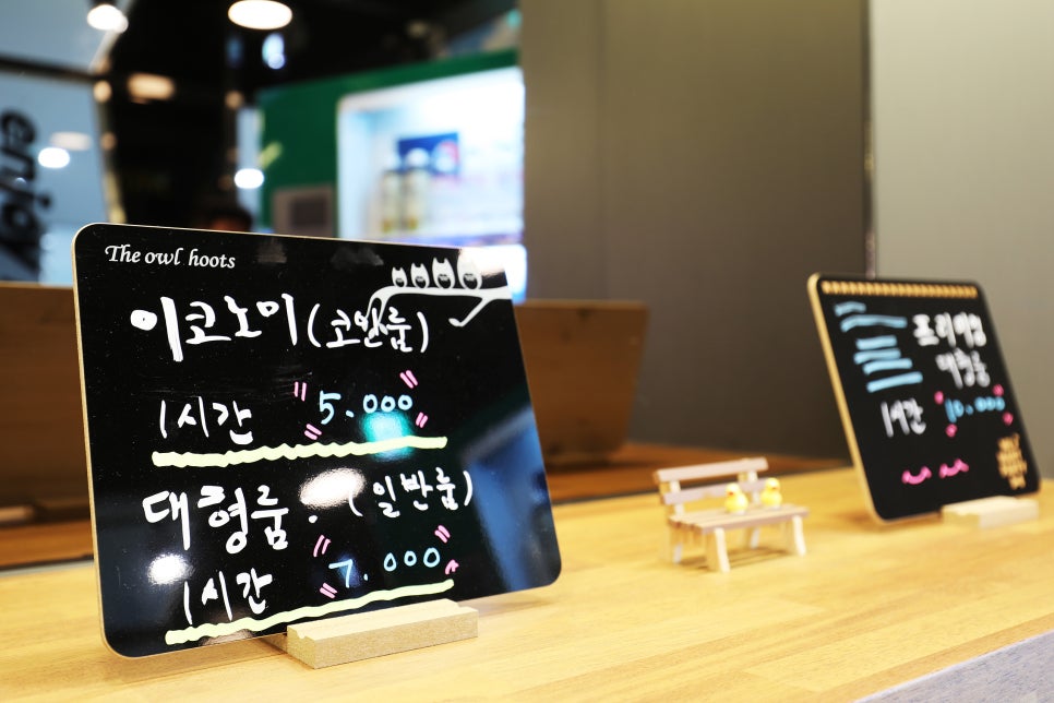 로데오코인노래연습장 이미지