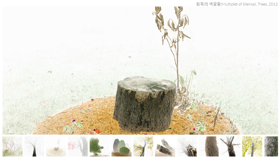 백합이브자리 이미지