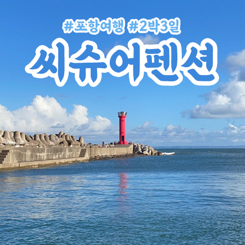 씨슈어 이미지