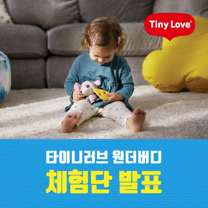 원더버디 이미지