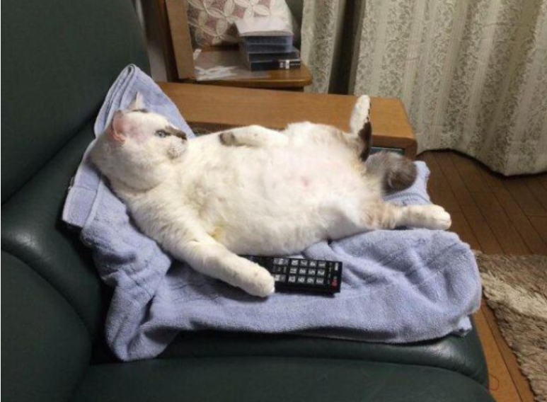 (주)마지노 이미지