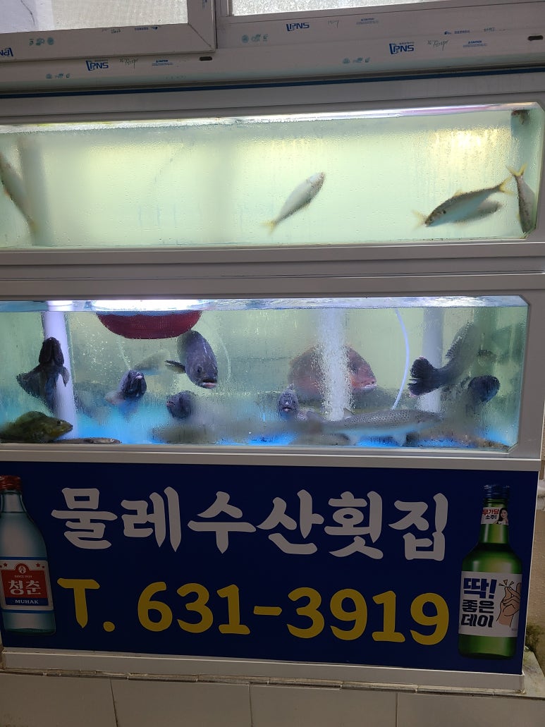물레수산 이미지