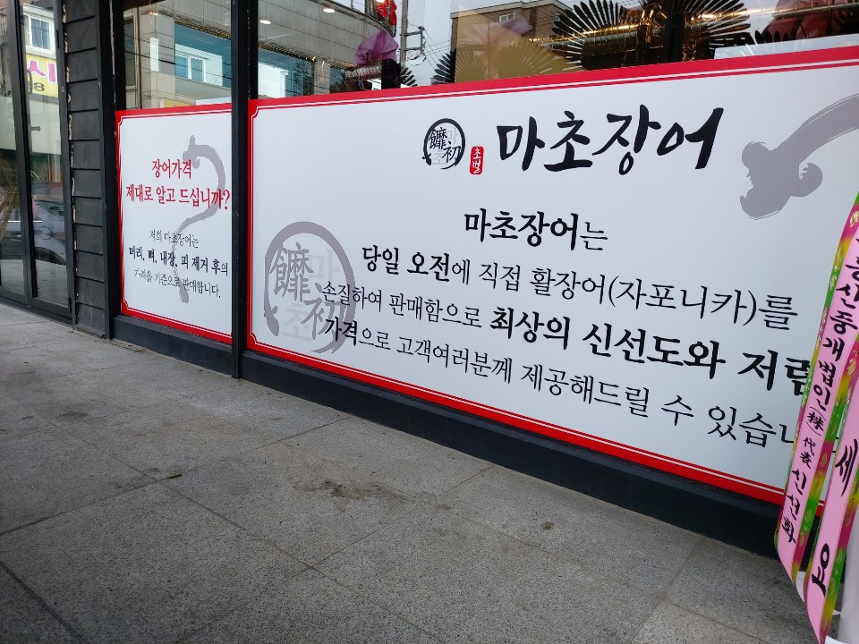 마초장어 이미지