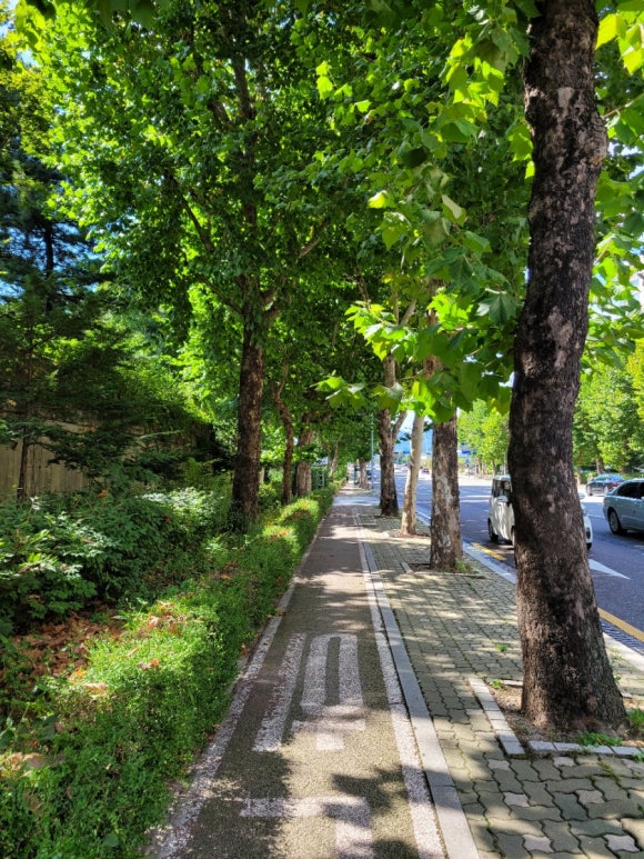 스시마고롯데노원점 이미지