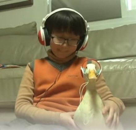 꾸르꾸르 이미지