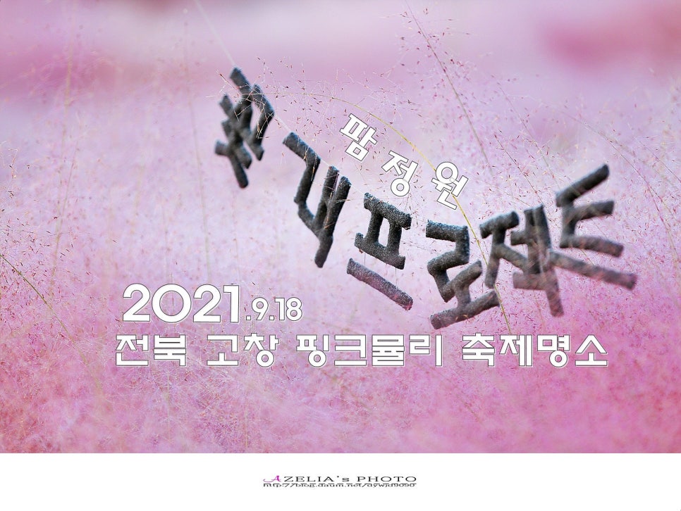 핑크팜 이미지