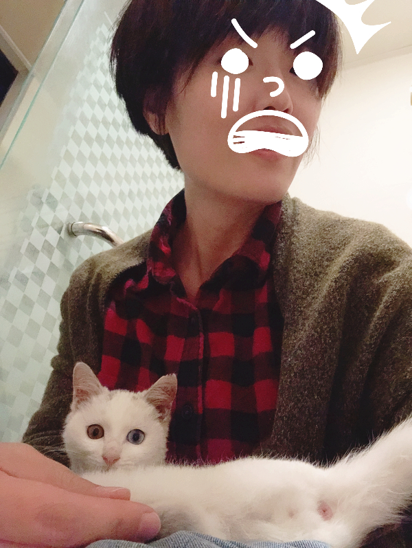 꽃밥이야기 이미지