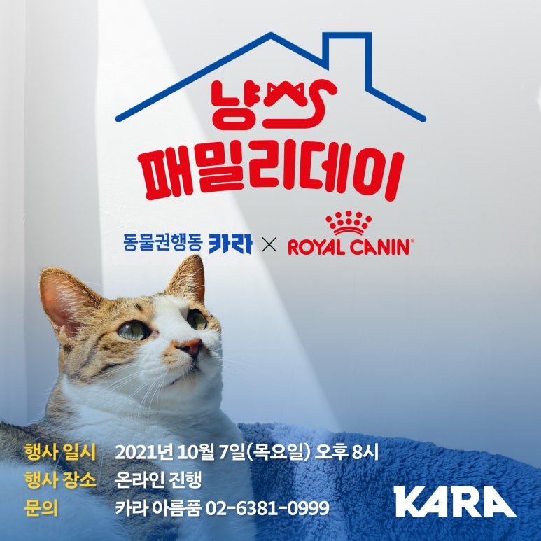 냥스 이미지