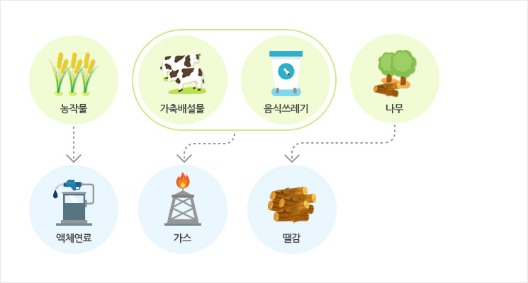 버드에너지 이미지