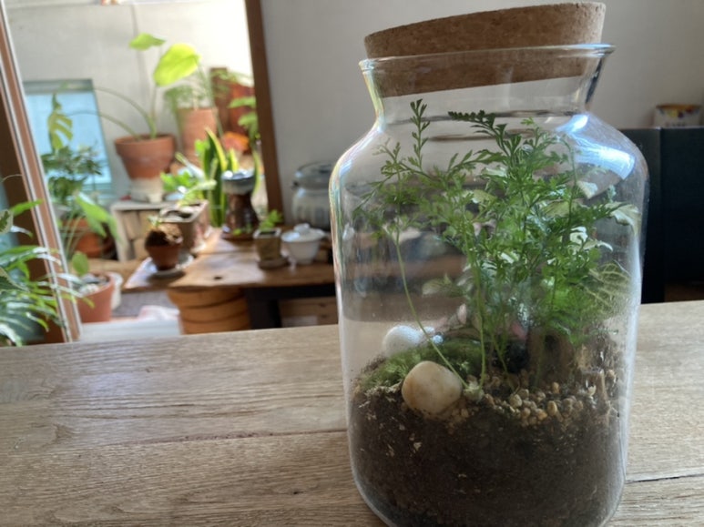 (주)포랑 이미지