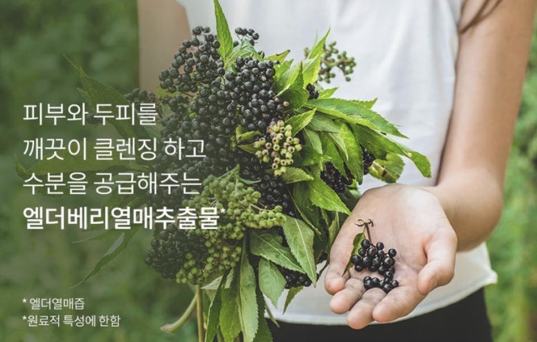뉴앤바디 이미지