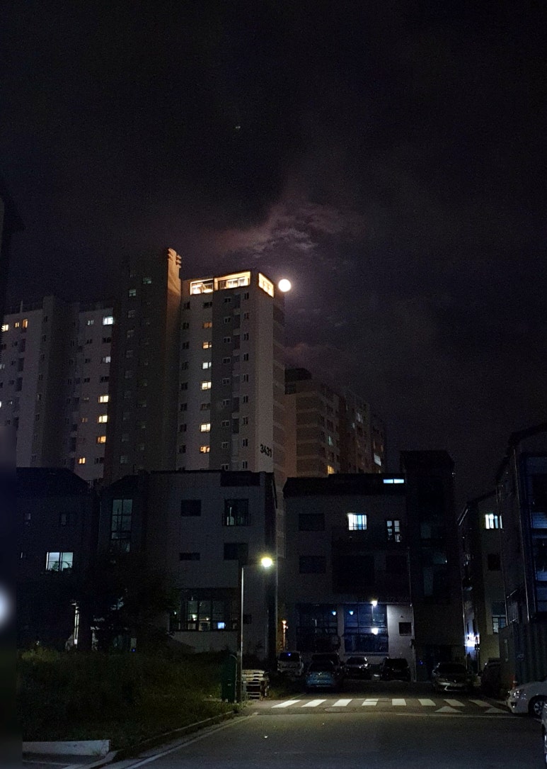 동탄마트정육코너 이미지
