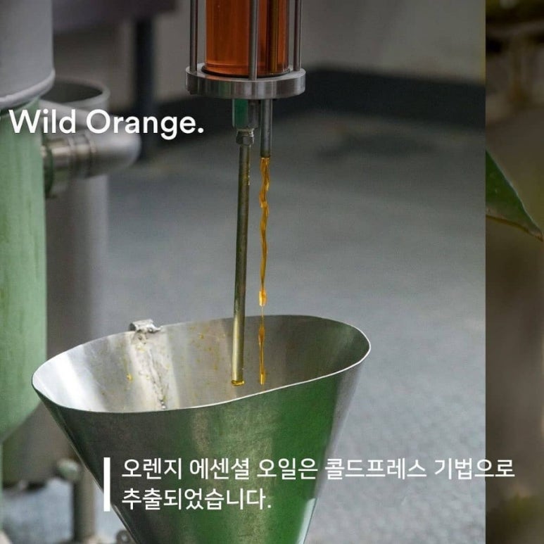 순수테라피 이미지