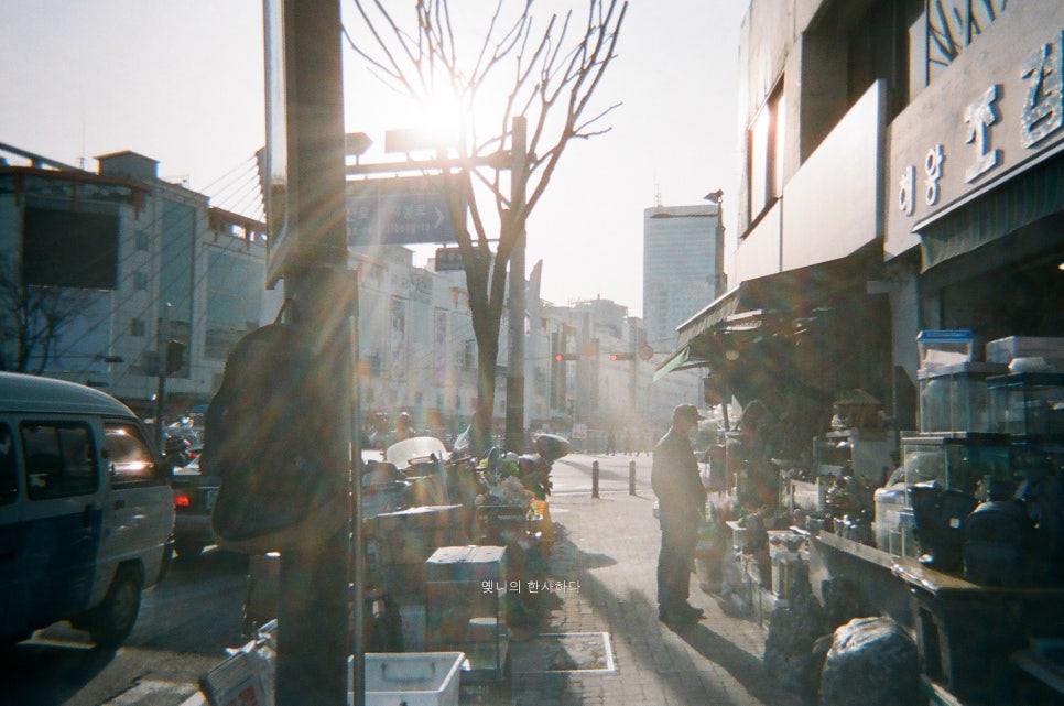 중앙사진관 이미지