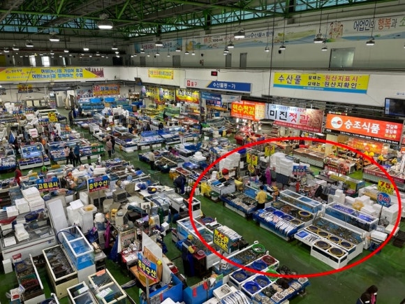 싱싱드림수산 이미지