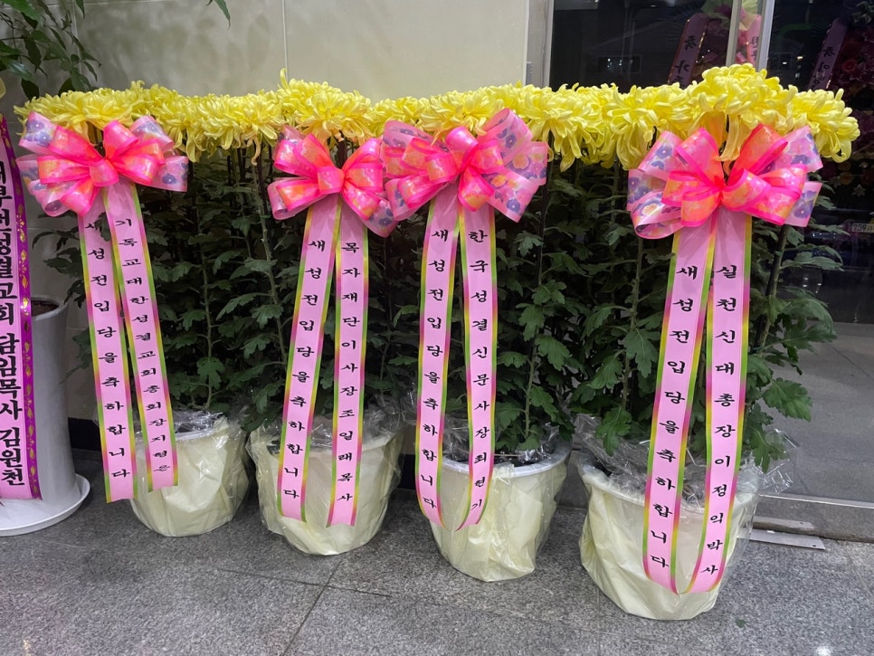 대부천성 이미지