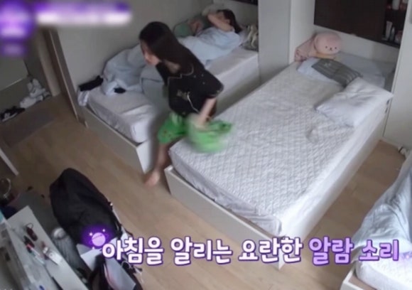 소로에루 이미지