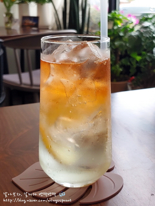 마이리틀호주 이미지