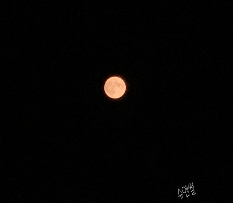 바느질이야기 이미지