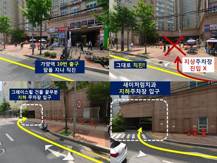 새이처럼치과 이미지