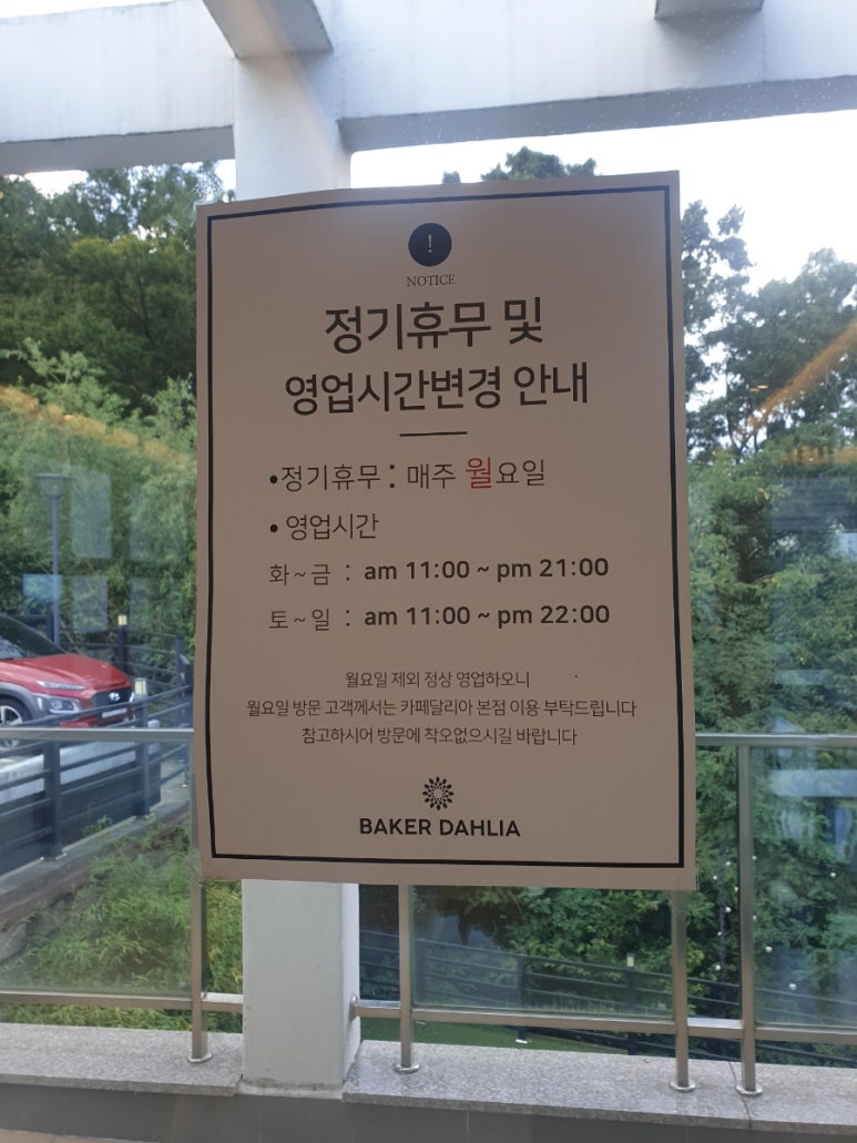 베이커달리아 이미지